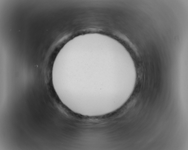 X0000086931448200705141733