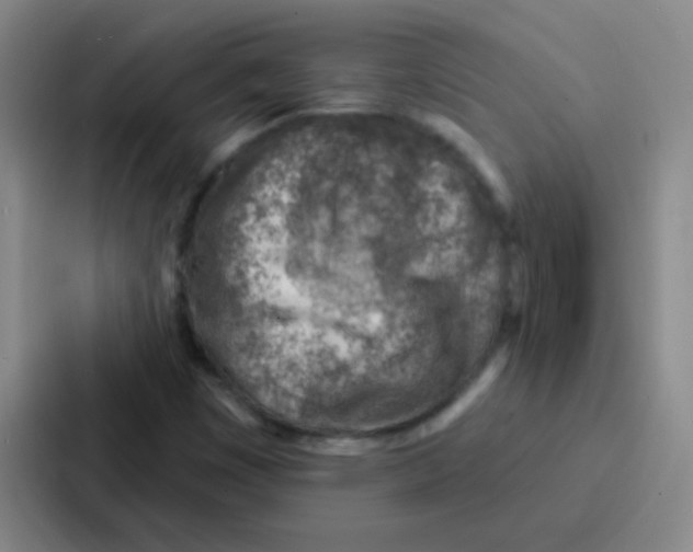 X0000086931449200705141733