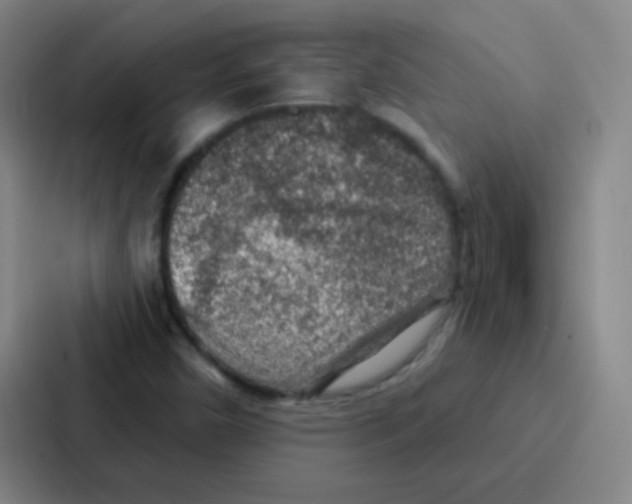 X0000086931450200705141733