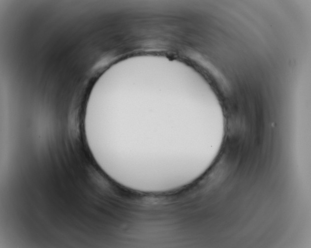 X0000086931451200705141733