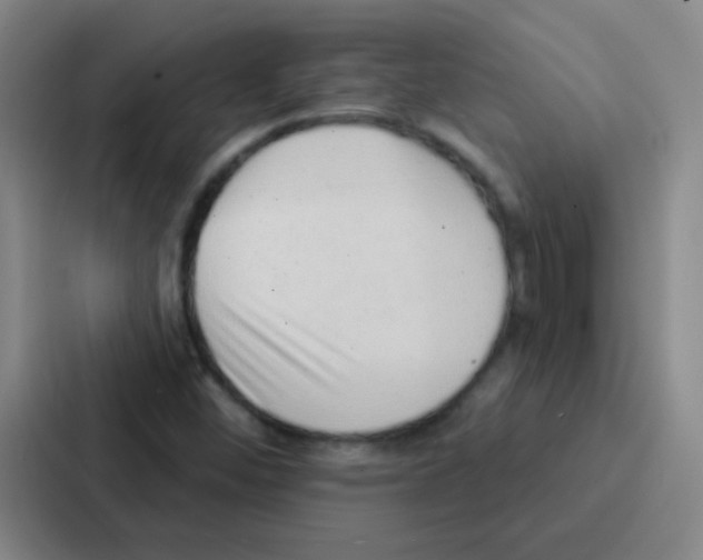 X0000086931452200705141733