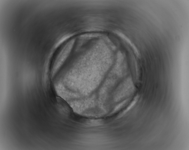 X0000086931453200705141733