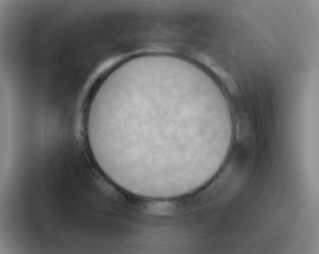 X0000086931454200705141733