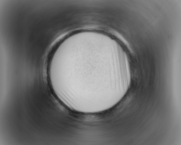 X0000086931456200705141733