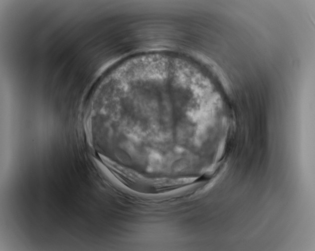 X0000086931457200705141733