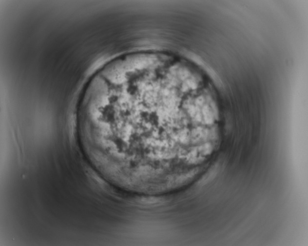 X0000086931459200705141733