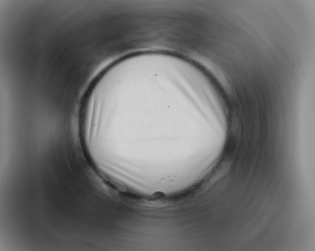 X0000086931460200705141733