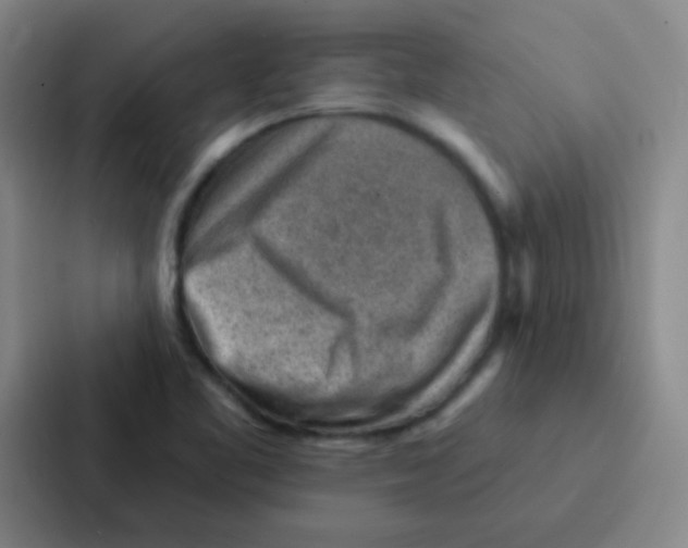 X0000086931461200705141733