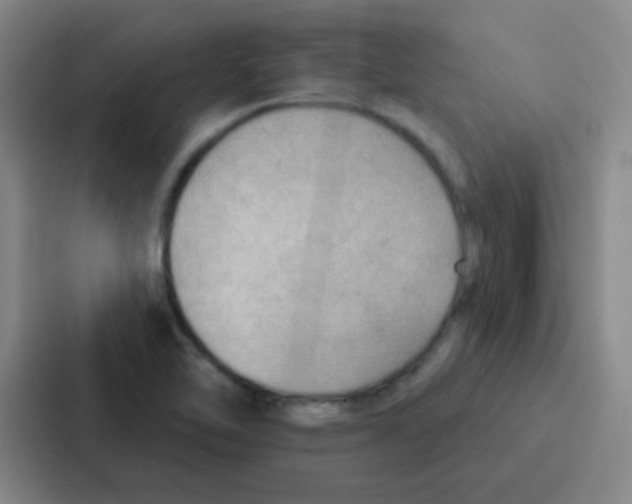 X0000086931462200705141732