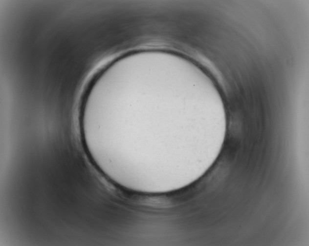 X0000086931464200705141732