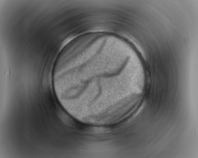 X0000086931465200705141732