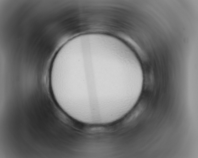 X0000086931467200705141732