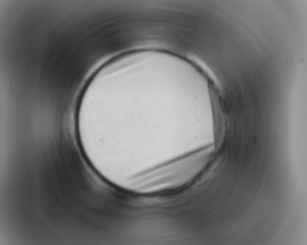 X0000086931468200705141732