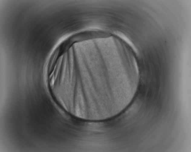 X0000086931469200705141732