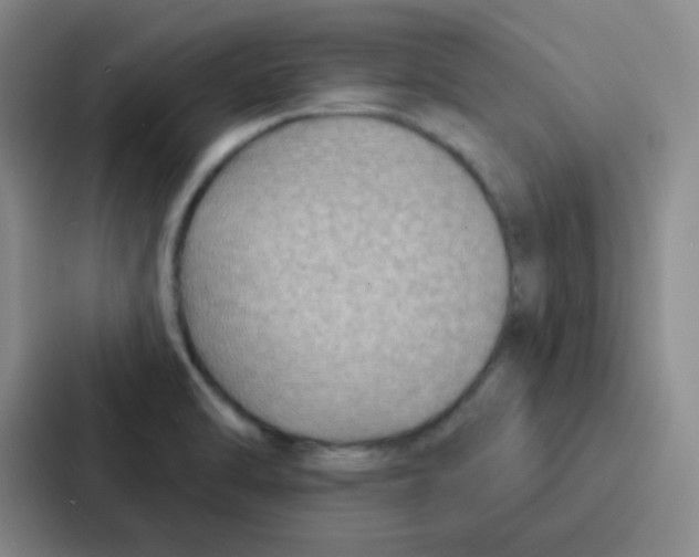 X0000086931470200705141732