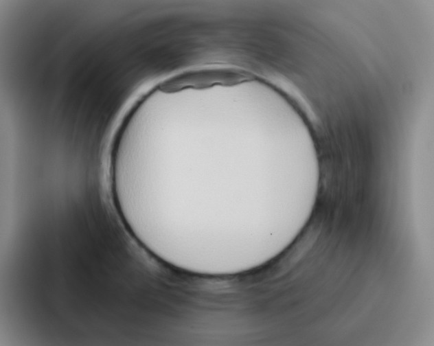 X0000086931472200705141732