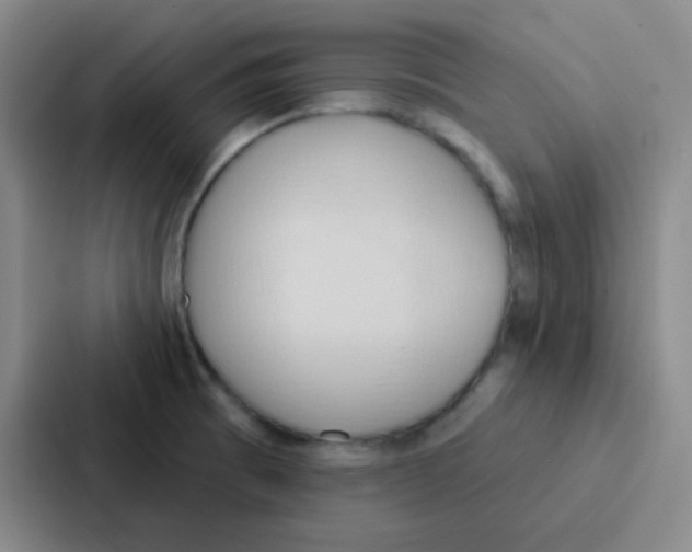 X0000086931473200705141732