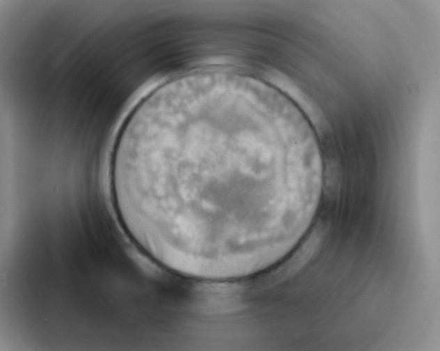 X0000086931474200705141732