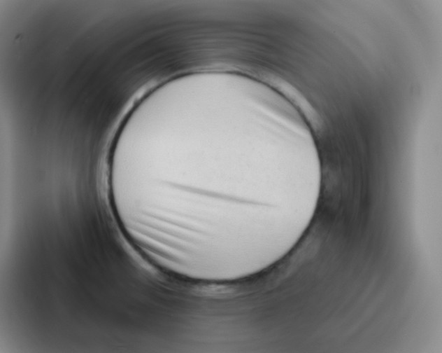 X0000086931476200705141732