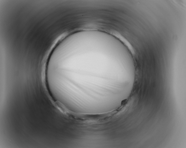 X0000086931477200705141732