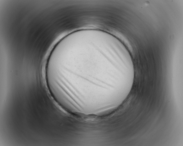 X0000086931480200705141732