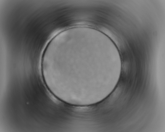 X0000086931482200705141732