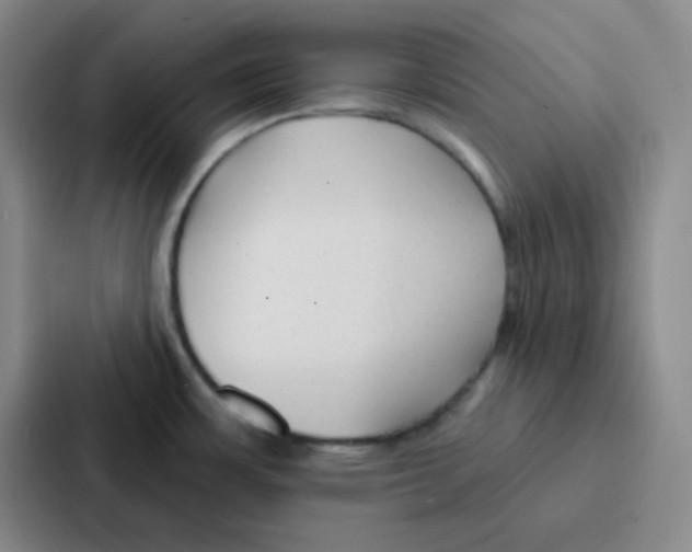 X0000086931483200705141732