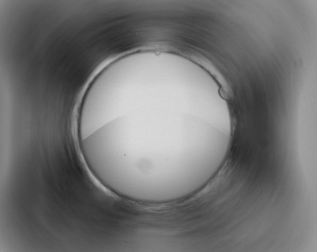 X0000086931484200705141732