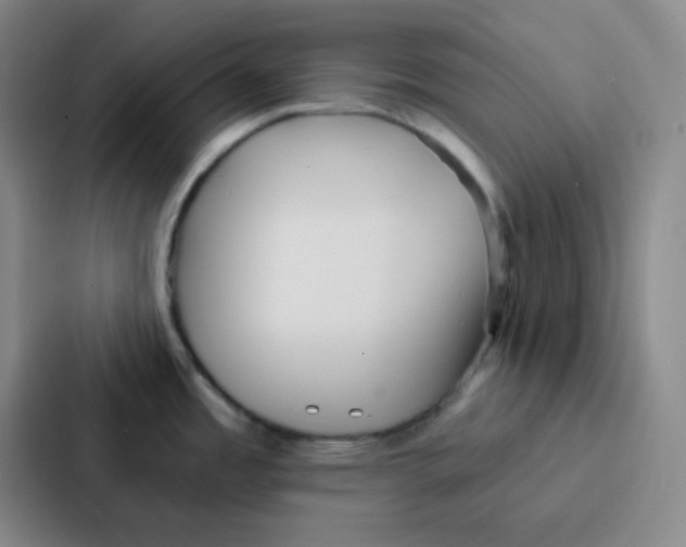 X0000086931485200705141732