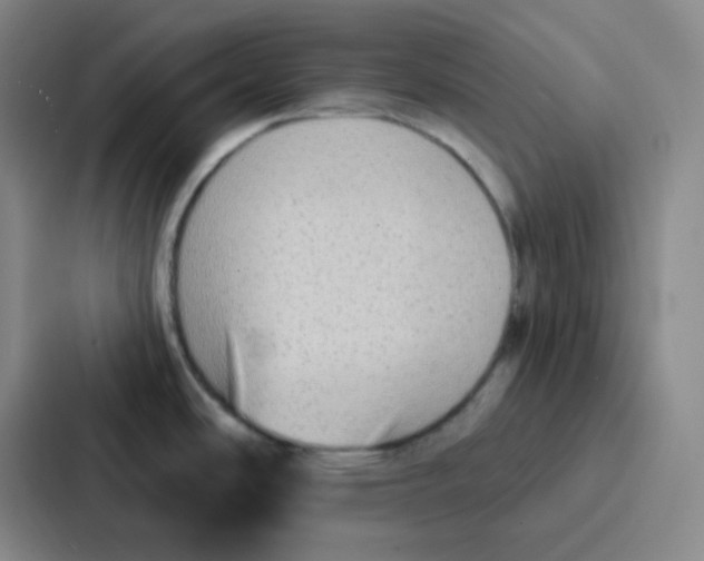 X0000086931486200705141732