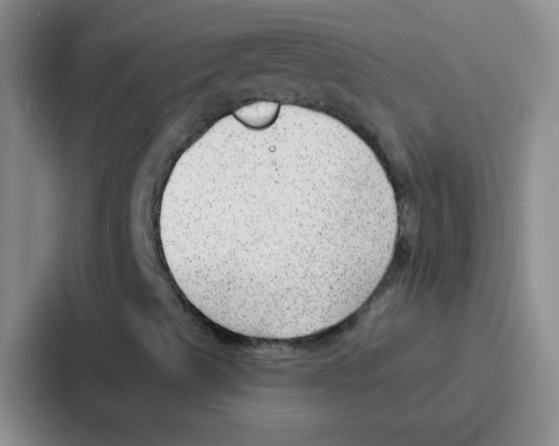 X0000086931489200705141732