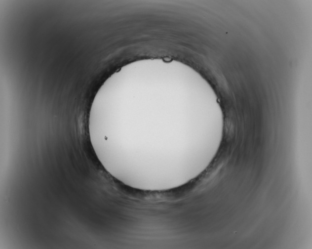 X0000086931490200705141732