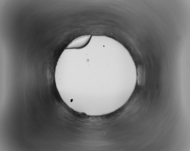 X0000086931491200705141732