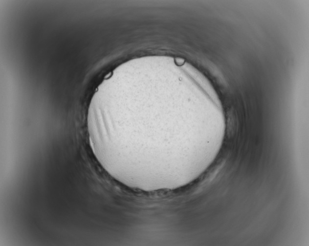 X0000086931494200705141732