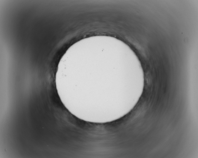 X0000086931495200705141732