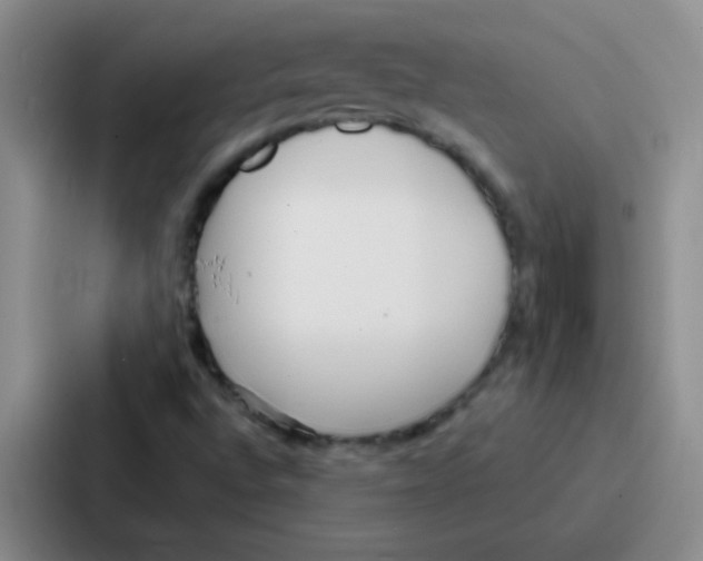 X0000086931496200705141732