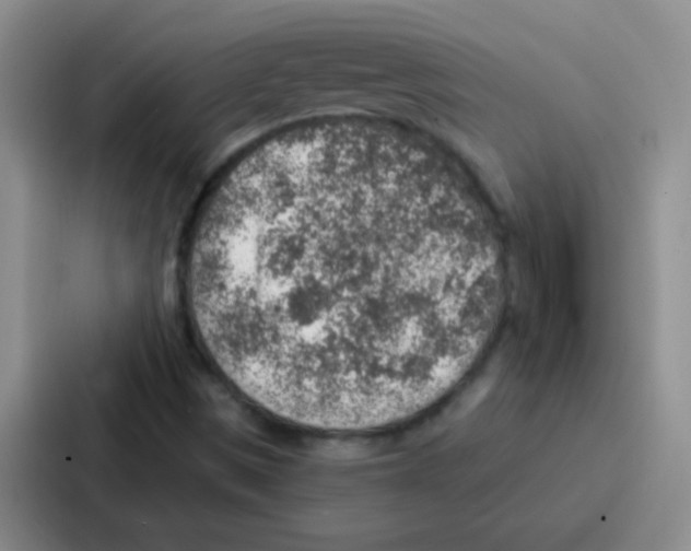 X0000086931497200705141732