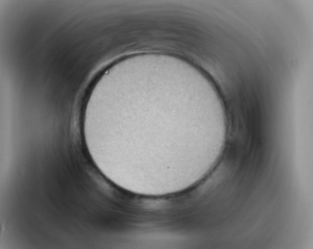 X0000086931498200705141732