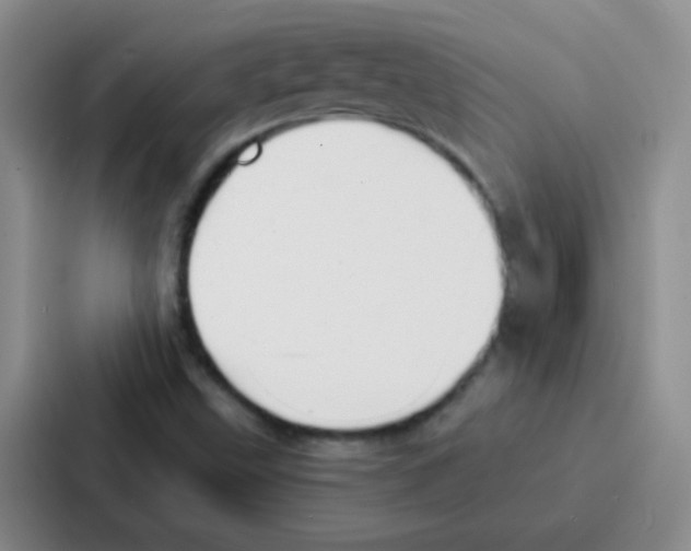 X0000086931499200705141732