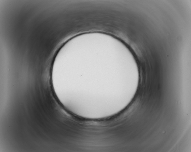 X0000086931500200705141732