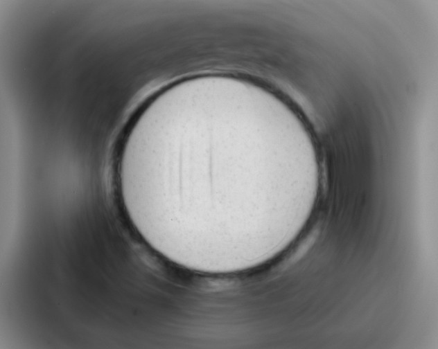 X0000086931501200705141732