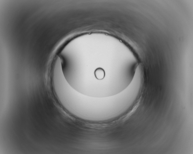 X0000086931502200705141732