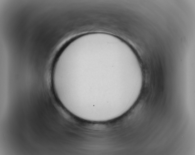 X0000086931503200705141732