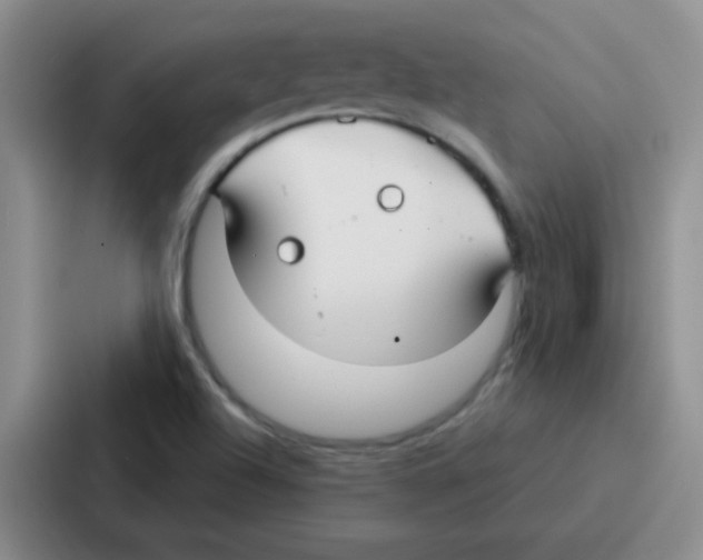 X0000086931504200705141732