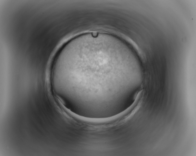 X0000086931506200705141732