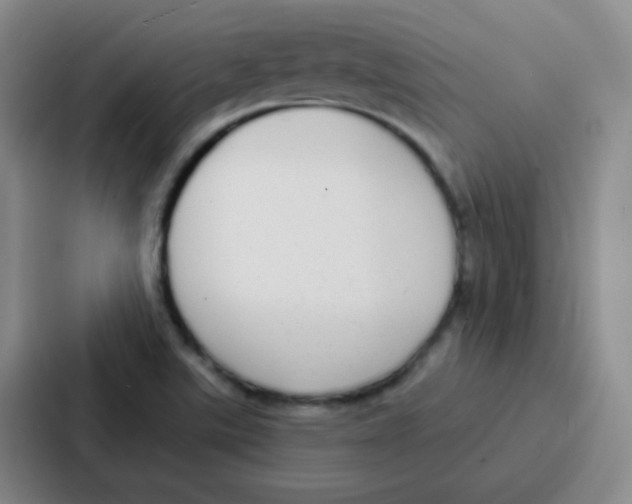 X0000086931507200705141732