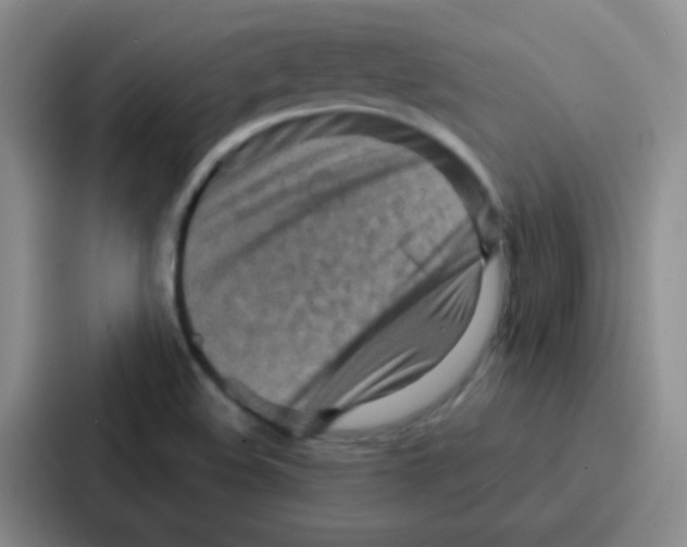 X0000086931508200705141732