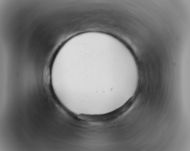 X0000086931509200705141732