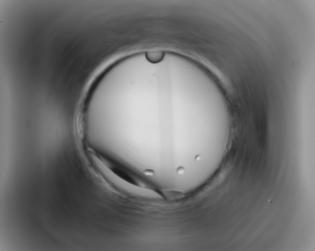 X0000086931510200705141732