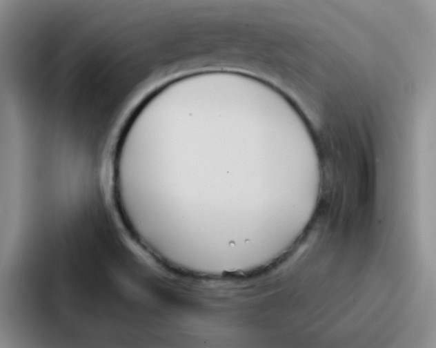 X0000086931511200705141732